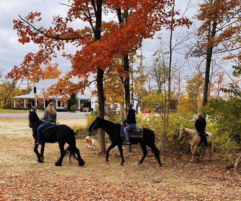 Beautiful Equestrian Estate Home W/ Hot Tub! Loveland Exterior photo